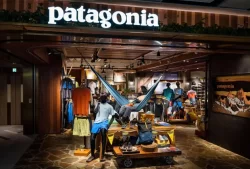 Patagonia’s billionaire owner gives away company to fight climate crisis
