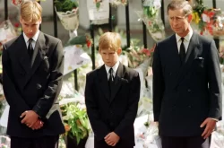 William and Harry can never undo the trauma of 25 years ago, but today maybe helped