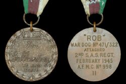 WW2 dog’s gallantry medal and memorabilia sells for £140,000 at auction