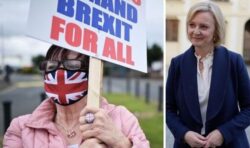 Northern Ireland’s post-Brexit deal ‘threatens human rights protections’, report claims