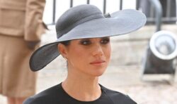 ‘Inevitable’: Meghan Markle ‘was never going to fit in’ existing model within the Firm