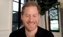 Prince Harry provides adorable update on Archie and Lili during heartmelting video call