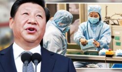 Covid origin theory blown open as China stockpiled West’s PPE ‘months’ before outbreak