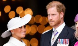 ‘Vulnerable’ Prince Harry is ‘easily led’ by Meghan and ‘morphs’ depending on his partner