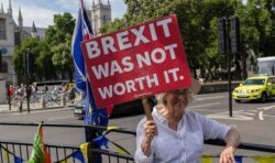 Festival of Brexit ‘frittered’ £120m in taxpayers’ cash as 238k of projected 66m attended
