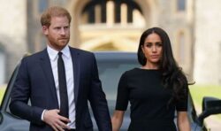 ‘Wanted wealth and fame’: Meghan ‘hunted for a man in England’ since 2013, claims Bower