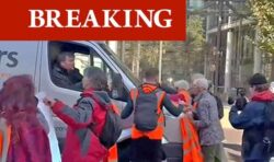White van man ploughs through Just Stop Oil protesters and taxi drivers drag eco mob away