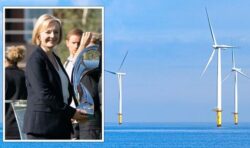 Energy crisis lifeline: World’s largest wind farm poised to power 8 million British homes
