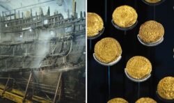 The fascinating relics hidden aboard the Mary Rose: Skulls, coins and 400-year-old shoes