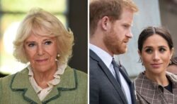 Camilla ‘very keen’ for Harry and Meghan to make an appearance at King Charles’ coronation