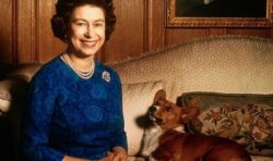 Touching unearthed Queen video shows her deep affection for pet corgi Dash