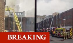 Smoke rises over London as 70 firefighters called to huge fire above shop in West Ealing