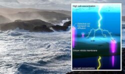 UK in prime position to benefit from ‘huge potential’ energy-from-seawater concept