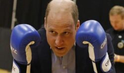 William ‘won’t be taking up boxing any time soon’ as trainer exposes Duke’s knuckle injury