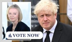 POLL: Should Boris Johnson come back as Prime Minister?