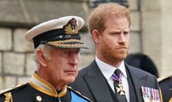 Prince Harry’s demand to King Charles over titles for children remains unresolved