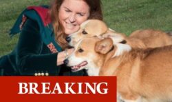 Sarah Ferguson relaxes with Queen’s corgis as she calls them ‘present that keeps giving’