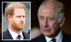 King Charles ‘hopeful for a reconciliation’ with Prince Harry by giving children titles