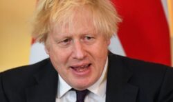 Bring back Boris: Petition demands Johnson’s return after ‘undemocratic’ ousting