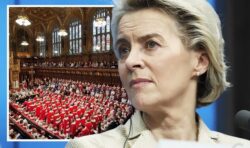 ‘Unfit’ Lords either ‘extremely naive’ or wish to ‘damage country’ by ‘surrendering’ to EU