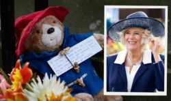 ‘Super cute!’ Camilla Parker-Bowles poses with Paddington Bears left for Queen Elizabeth