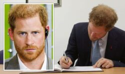 Prince Harry to air royal rift with ‘new chapter’ on Queen’s funeral in memoir