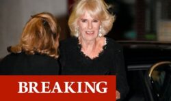 Queen Consort Camilla in London to present Booker Prize for fiction after a three-year gap