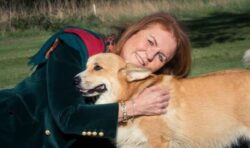 ‘Corgis are alive’: US magazine issues bizarre update about Sarah Ferguson