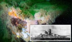 Nazi shipwreck is still leaking toxic chemicals into North Sea 80 years after sinking