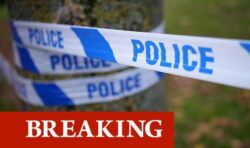 Man, 88, found dead as woman, 53, arrested on suspicion of murder