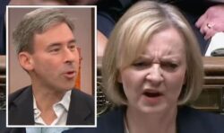 ‘Just astounding!’ Liz Truss in freefall as Brexit voters ‘are now favouring’ Labour Party