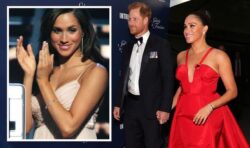 ‘Wannabe Disney character’: Meghan Markle accused of ‘staggering lack of self-awareness’