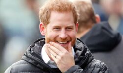 Prince Harry’s beard sparks fan frenzy amid increase in male surgical procedure