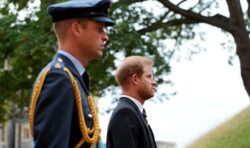 ‘Very difficult!’ William and Harry set for ‘uncomfortable viewing’ as The Crown returns