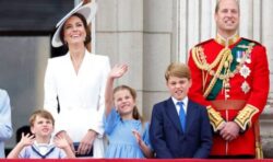 Royal Family’s bargain breakfast George, Charlotte and Louis enjoy every morning laid bare