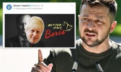 ‘Best choice your nation can make’: Boris’s return backed by Ukraine after deleted tweet