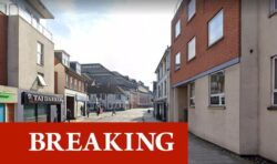 Bomb squad cordon off 100-metre area in Ipswich – suspicious package found