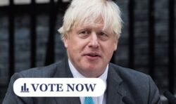 POLL: Should Boris Johnson return as Prime Minister?