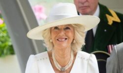 Poll result: Should Queen Camilla drop ‘consort’ from title? – YOUR VERDICT