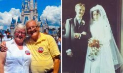 Widow’s journey to Disneyland to spread husband’s ashes ruined after ‘airport blunder’