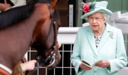 King Charles to sell 14 racehorses inherited from late Queen at auction today