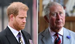 King Charles should be ‘very worried’ about ‘hand grenade’ in Prince Harry’s new book