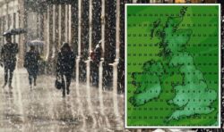 Met Office predicts snowy showers to fall in weeks as UK’s temperatures finally tumble