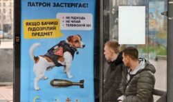 Heroic bomb-sniffing dog becomes face of Ukrainian safety campaign