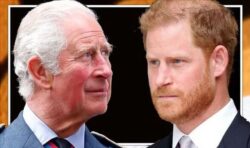 King Charles under pressure to change royal rules to stop Harry or Andrew taking over