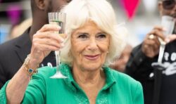 Queen Camilla ‘watches The Crown’ with a ‘large glass of gin and pinch of salt’ – claim