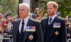 Buckingham Palace ‘finalising’ plans to sideline Harry and Andrew from ‘state affairs’