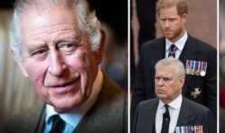 King Charles expands Counsellors of State list to spare Harry and Andrew – new roles given