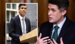Rishi Sunak’s unity cabinet at risk of ‘damage’ from ‘poisonous’ Gavin Williamson