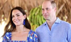 Kate tipped for new role where she will ‘act together’ with William if law is changed